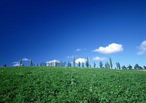 静岡県浜松市の信頼と実績を誇る家族葬・一般葬の専門式場:富士葬祭 高林の詳細ガイド