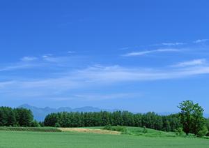 静岡市葵区の家族葬の専門斎場:家族葬のタクセル沓谷の詳細と特長