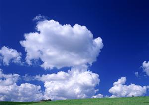 栃木県宇都宮市における家族葬専門斎場「家族葬のタクセル平松本町」の詳細と特徴