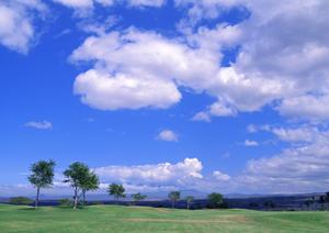 静岡市葬儀場の安心と信頼のサービス【富士葬祭 材木町】詳細ガイド