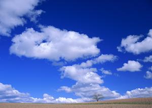 富士葬祭 藤枝御苑|藤枝市の家族葬・火葬場を総合サポートする安心の葬儀場