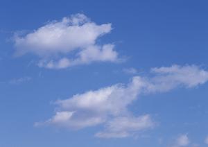 静岡市駿河区における信頼の葬儀サービス【富士葬祭 中村町】の詳細紹介