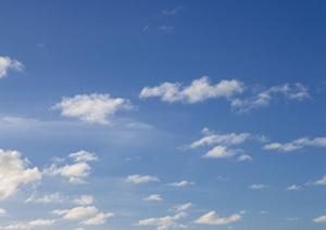 東京で選ぶ浄土真宗の永代供養:最新2025年ガイド