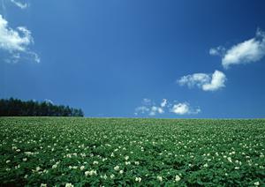 静岡県藤枝市の家族葬専門斎場【家族葬のタクセル高柳】：低価格・高品位な葬儀を実現