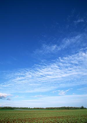 静岡県富士市に根差す安心の葬儀サービス｜富士葬祭 富士瓜島の特徴と詳細情報
