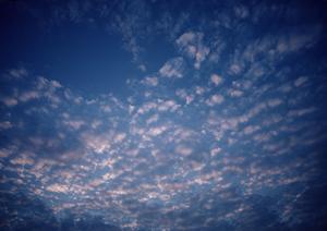 静岡市駿河区に新設された家族葬専門斎場【家族葬のタクセル西中原】の詳細と特徴解説